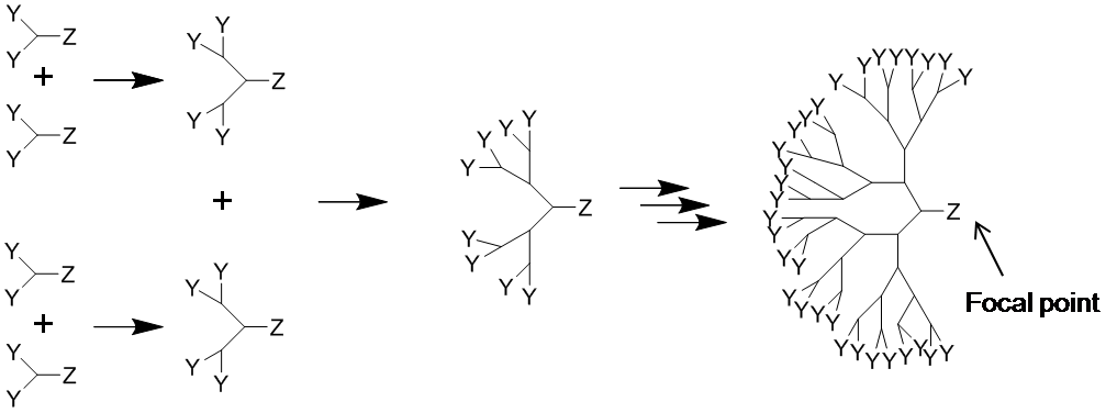 Convergent synthesis