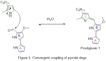 Convergent synthesis
