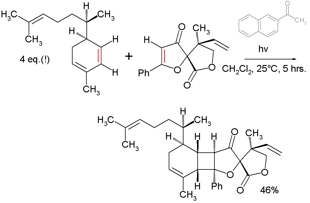 Convergent synthesis